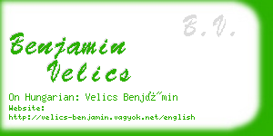 benjamin velics business card